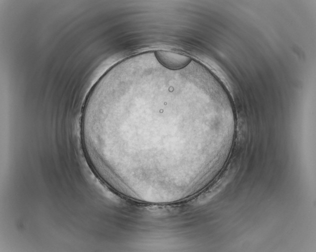 X0000111360906200908071151