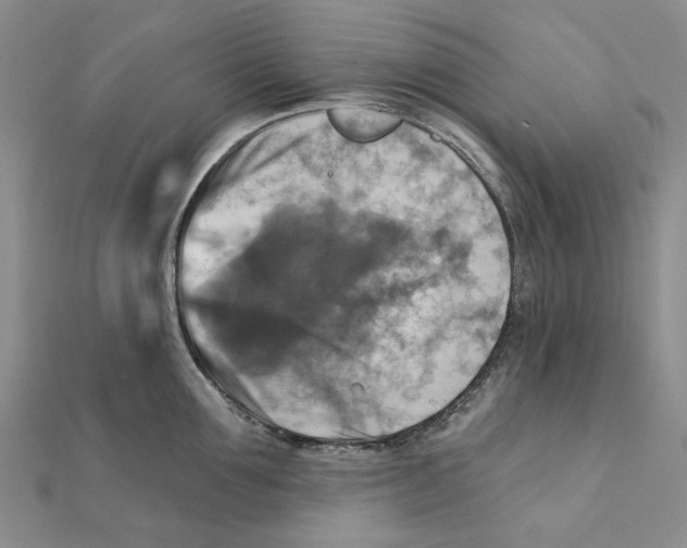 X0000111360907200908071151