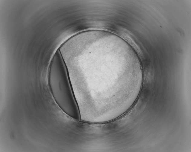 X0000111360908200908071151