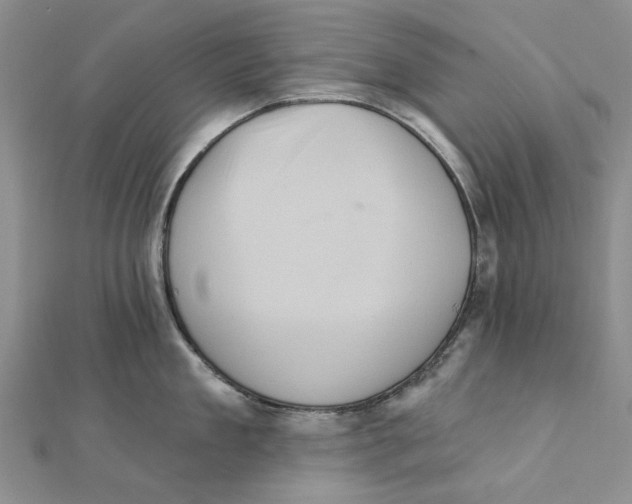 X0000111360909200908071151