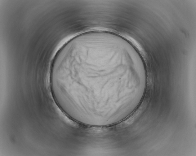 X0000111360910200908071151