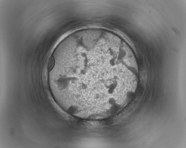 X0000111360911200908071151