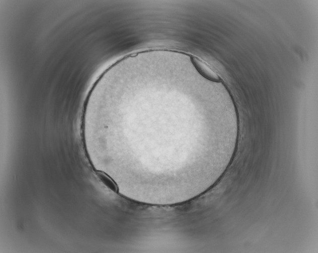 X0000111360912200908071151