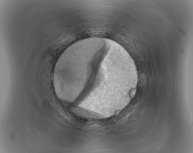 X0000111360913200908071150