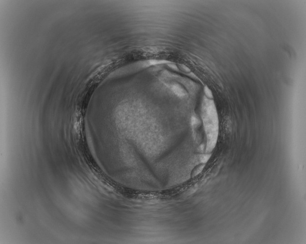 X0000111360914200908071150