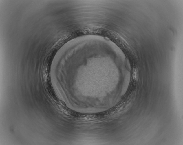 X0000111360915200908071150