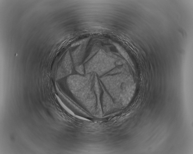 X0000111360916200908071150