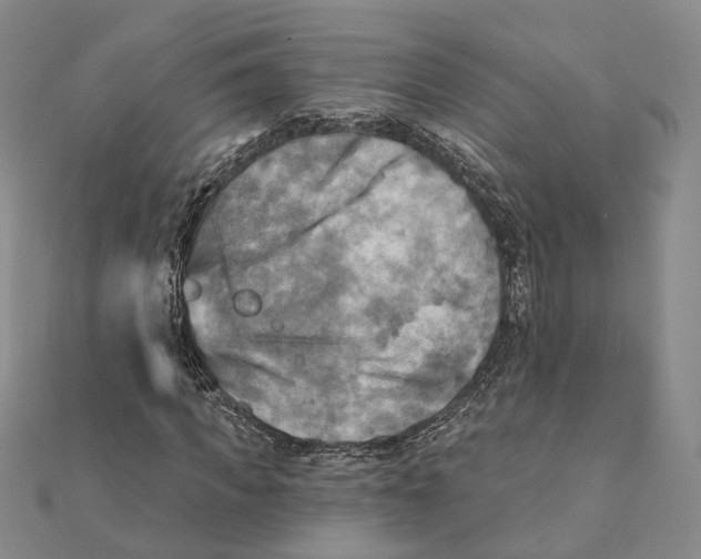 X0000111360917200908071150