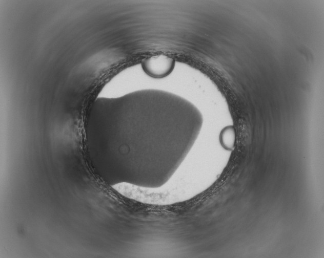 X0000111360918200908071150