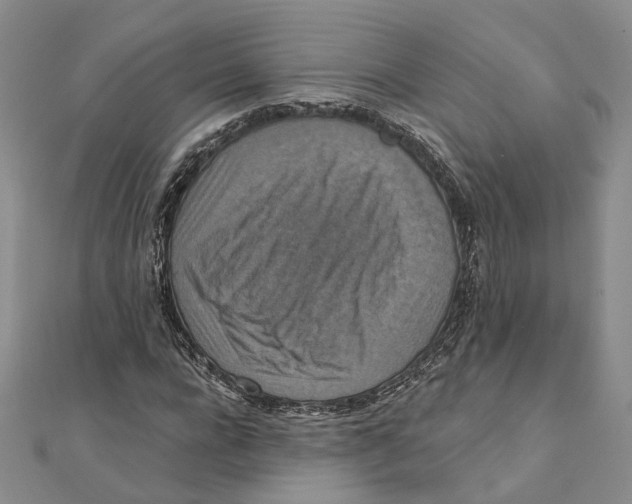 X0000111360920200908071150