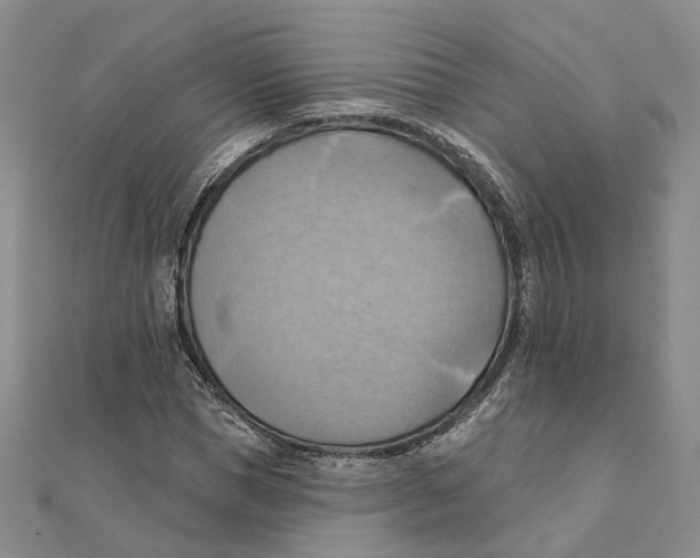 X0000111360921200908071150