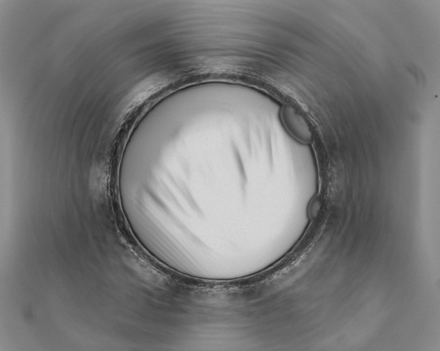 X0000111360922200908071150