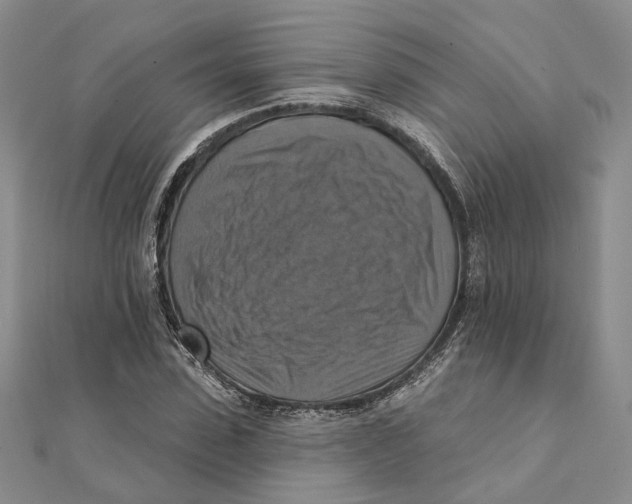 X0000111360923200908071150