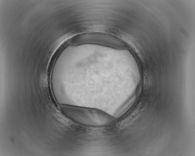 X0000111360924200908071150