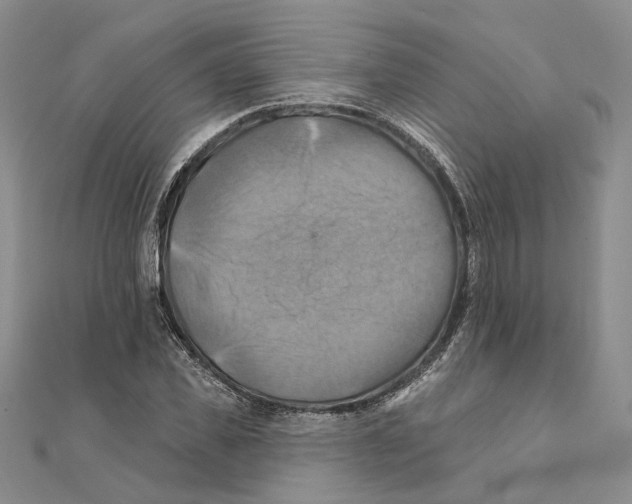 X0000111360925200908071150