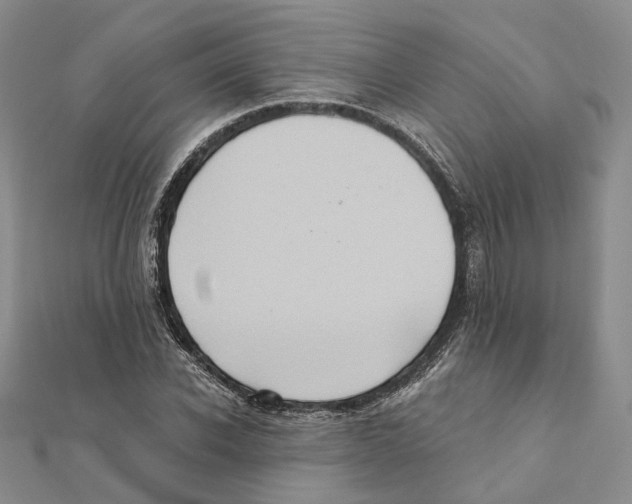 X0000111360926200908071150