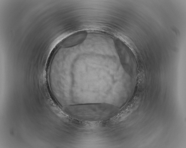 X0000111360928200908071150