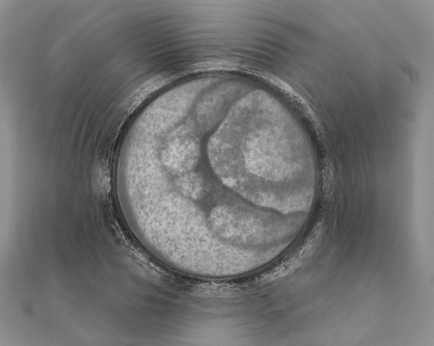 X0000111360929200908071150