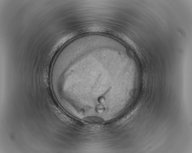 X0000111360930200908071150