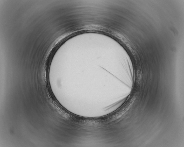 X0000111360931200908071150