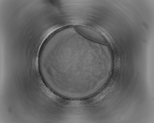 X0000111360932200908071150