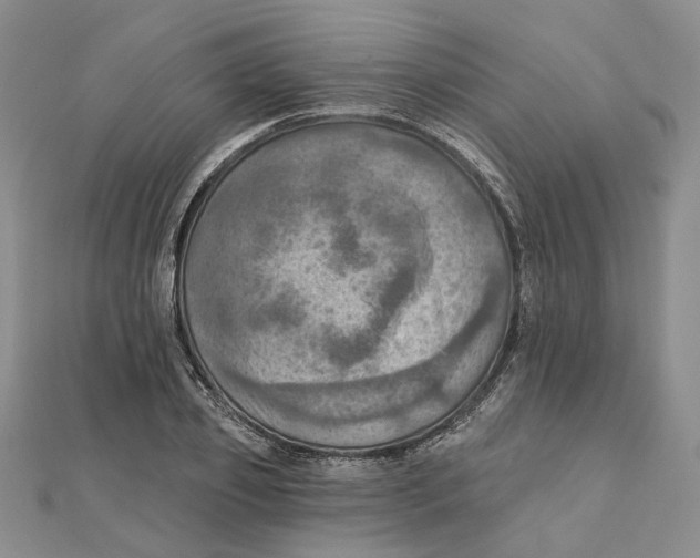 X0000111360933200908071150