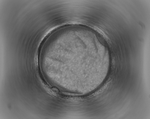 X0000111360934200908071150