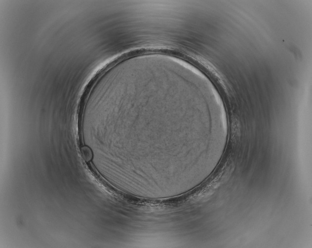 X0000111360935200908071150