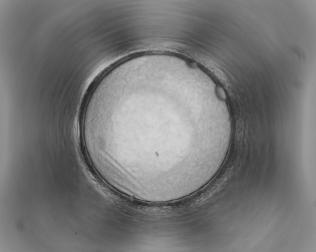 X0000111360936200908071150