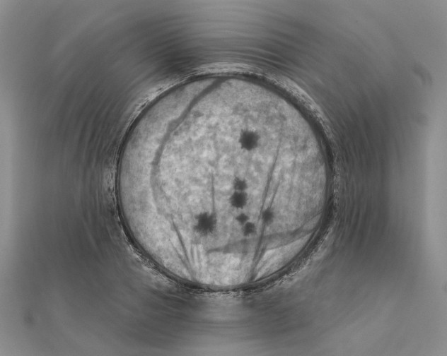 X0000111360937200908071150