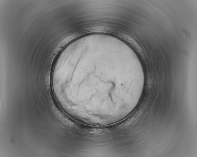 X0000111360938200908071150