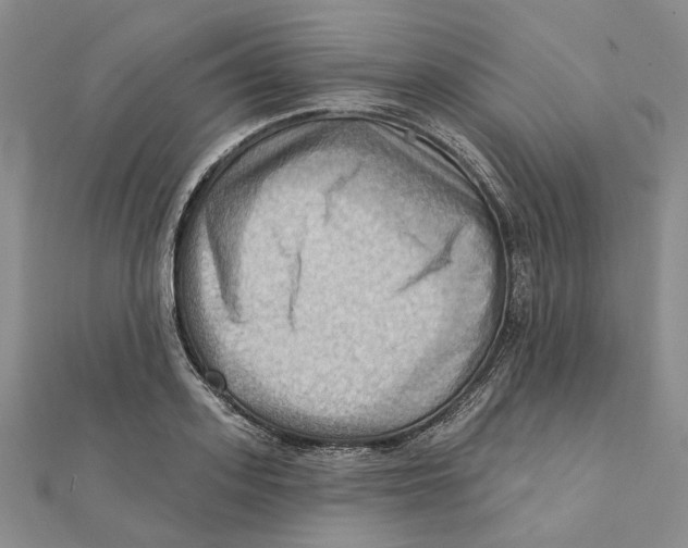 X0000111360939200908071150