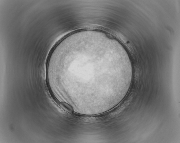 X0000111360940200908071150