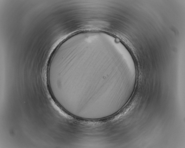 X0000111360941200908071150