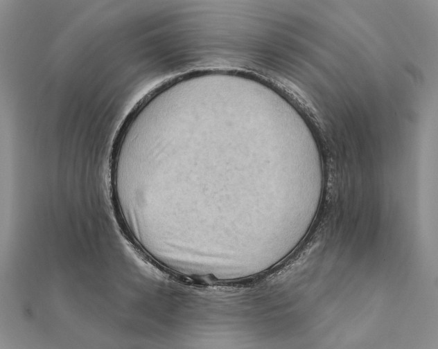 X0000111360942200908071150