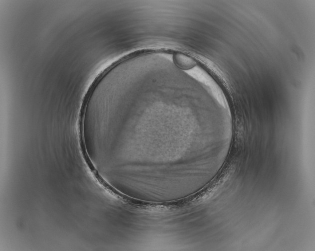 X0000111360943200908071150