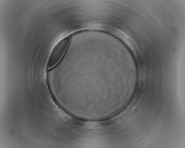 X0000111360944200908071150