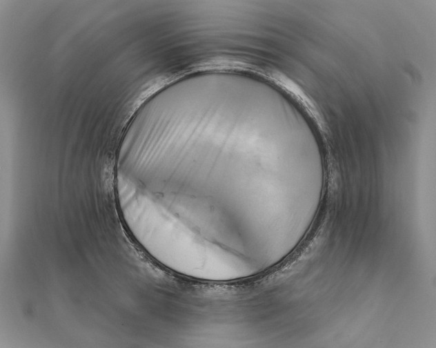 X0000111360945200908071150