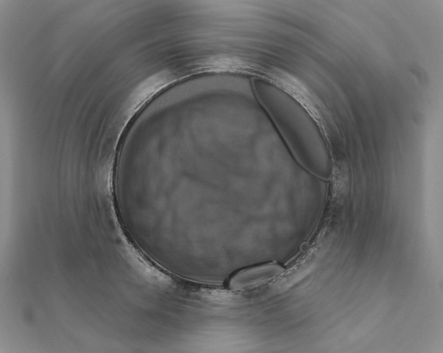 X0000111360946200908071150