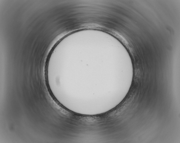 X0000111360947200908071150