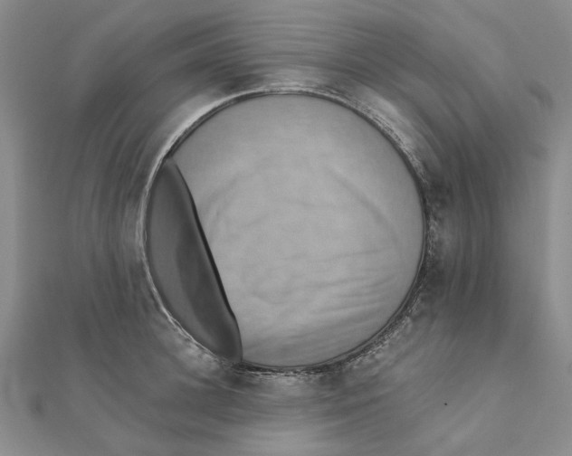 X0000111360948200908071150