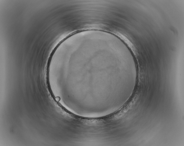 X0000111360949200908071150