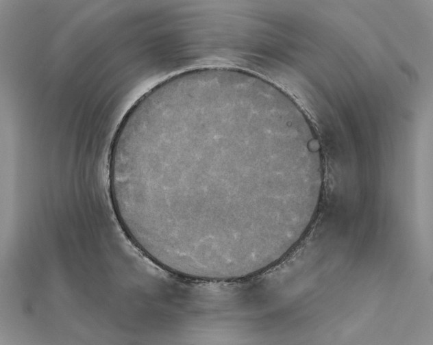 X0000111360950200908071150