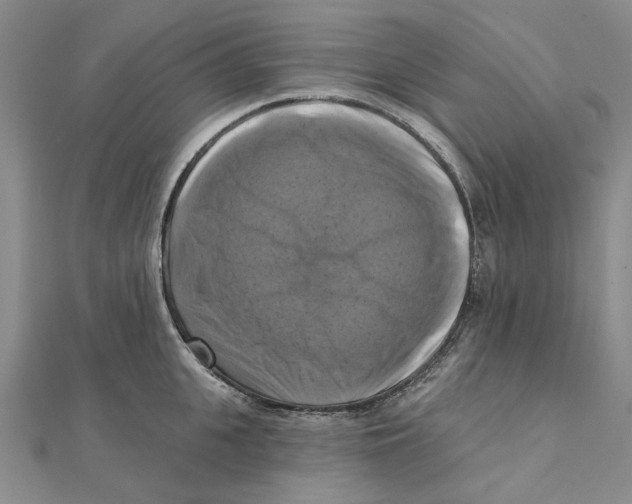 X0000111360951200908071150