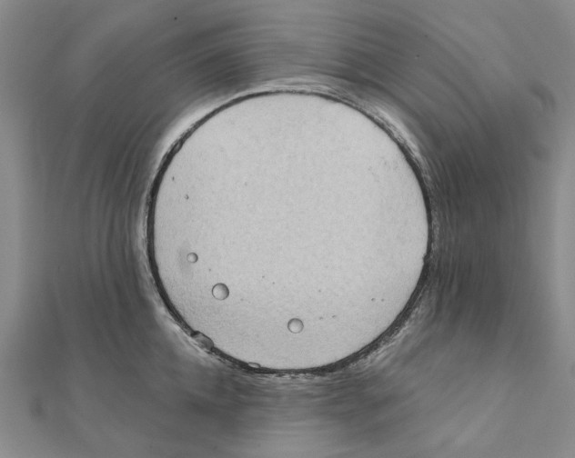 X0000111360952200908071150