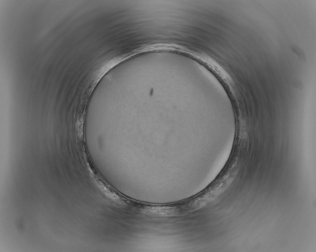 X0000111360953200908071150