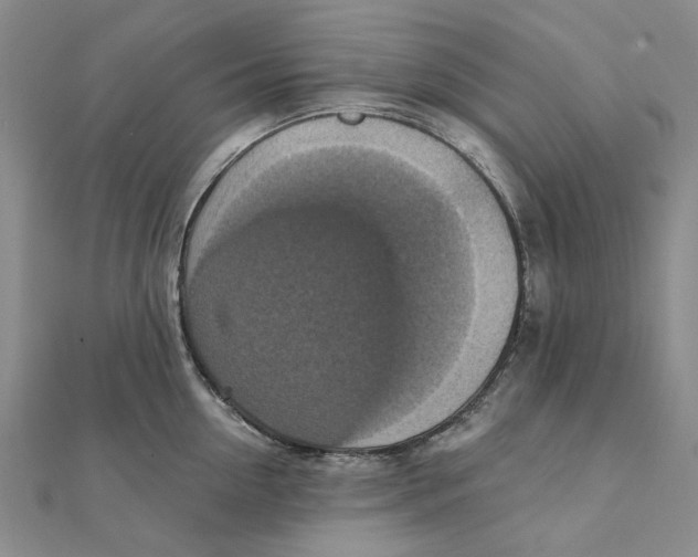 X0000111360954200908071150