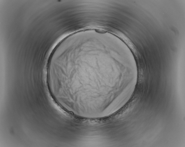 X0000111360955200908071150