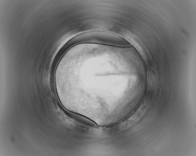 X0000111360956200908071151