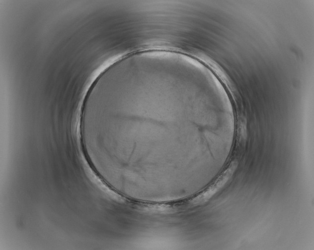 X0000111360957200908071151